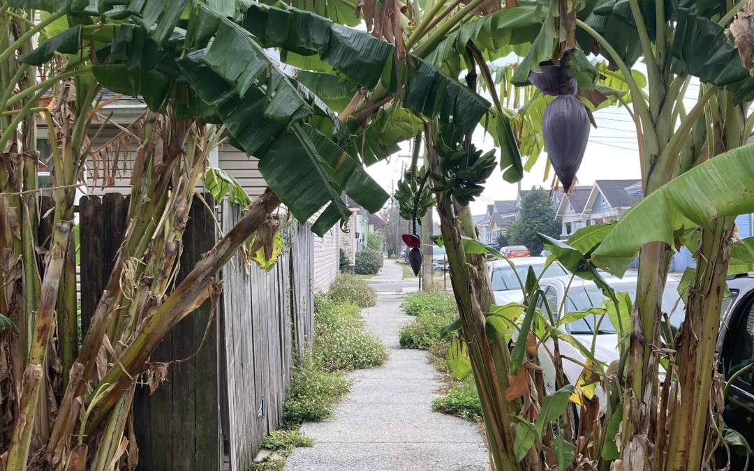 Why I Walk the Same Land Again and Again